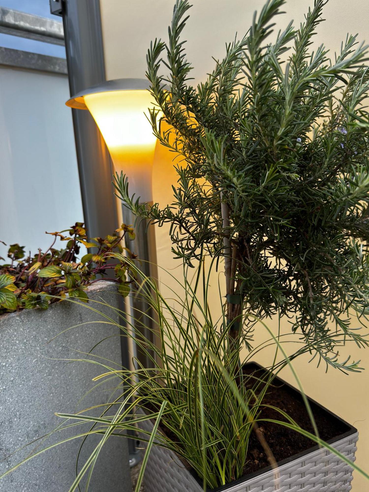 Ferienwohnung-Koenigsschloesser Füssen Esterno foto
